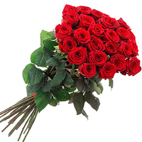 24 rose rosse red Naomi stelo medio/alto