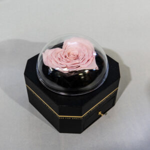 Box nero con cupoletta e rosa stabilizzata a forma di cuore