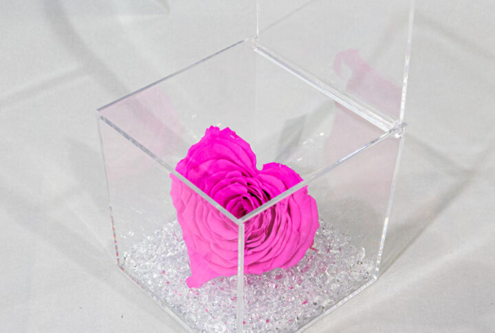 Box plexyglass con rosa a forma di cuore stabilizzata