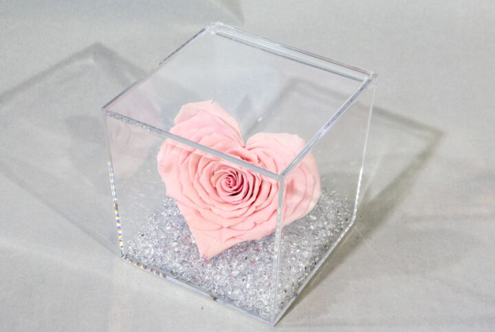 Box plexyglass con rosa a forma di cuore stabilizzata