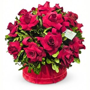 Box di 21 Rose Rosse Premium in Cappelliera di Velluto – "Red Passion"