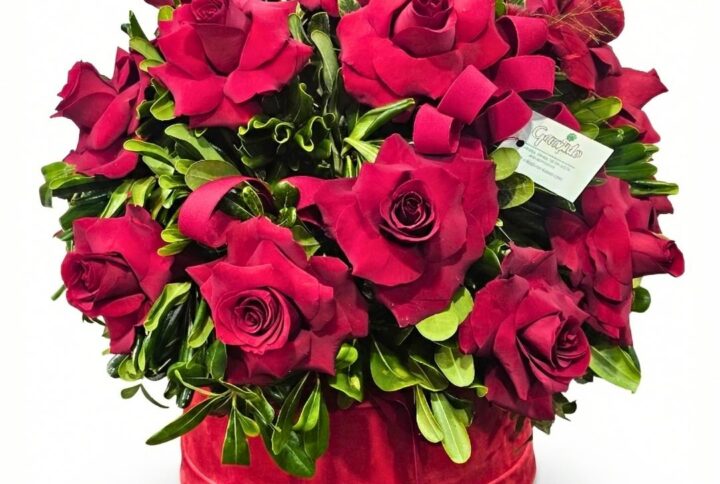 Box di 21 Rose Rosse Premium in Cappelliera di Velluto – "Red Passion"