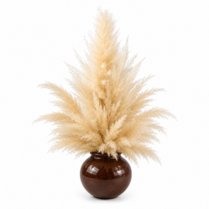 "Nuvola Bohémien": Scultura di Pampas Naturale in Vaso di Ferro (H 33cm x 50cm)