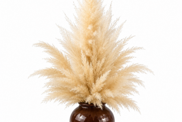 "Nuvola Bohémien": Scultura di Pampas Naturale in Vaso di Ferro (H 33cm x 50cm)