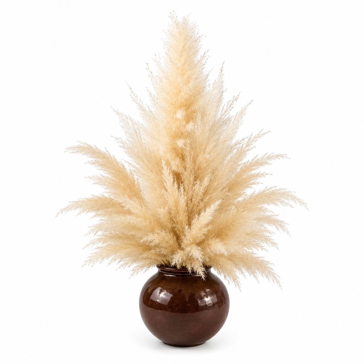 “Nuvola Bohémien”: Scultura di Pampas Naturale in Vaso di Ferro (H 33cm x 50cm)