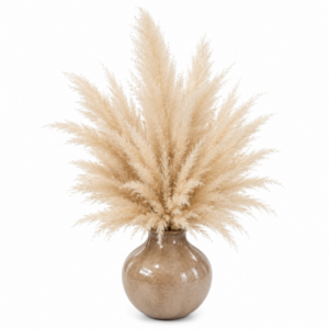 Soffio di Sabbia: Scultura di Pampas Naturale in Vaso di Ferro Smaltato (H 33cm x 50cm)