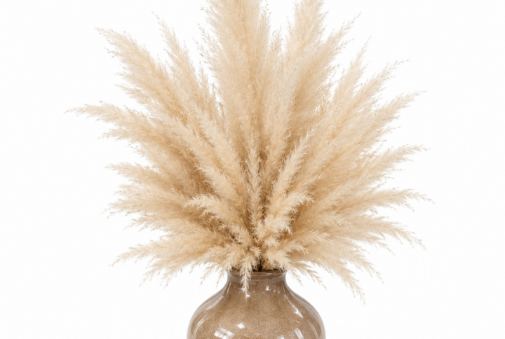 Soffio di Sabbia: Scultura di Pampas Naturale in Vaso di Ferro Smaltato (H 33cm x 50cm)