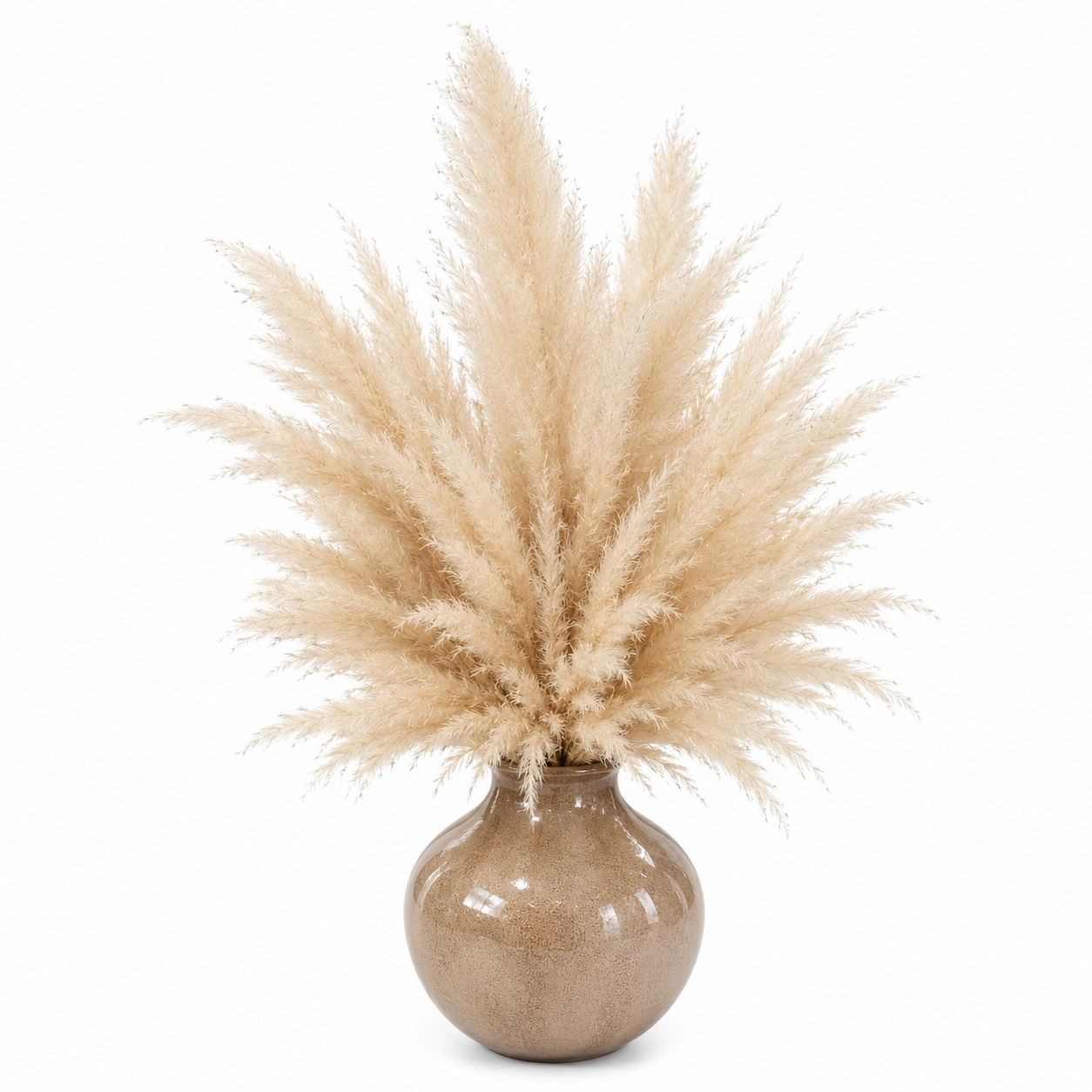 Soffio di Sabbia: Scultura di Pampas Naturale in Vaso di Ferro Smaltato (H 33cm x 50cm)